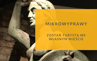 Mikrowyprawy warszawskie