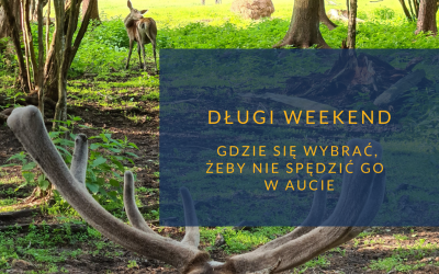 Długi weekend gdzie jechać żeby nie skończyć go w aucie
